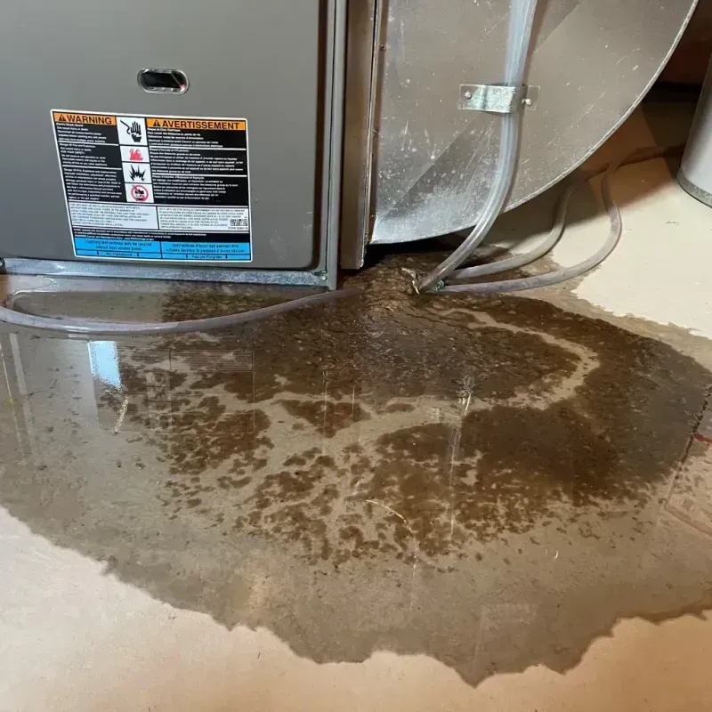 Appliance Leak Cleanup in Plant City, FL